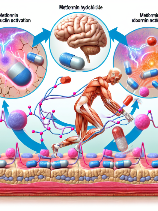 Metformin Hydrochlorid en fases de activación neuromuscular