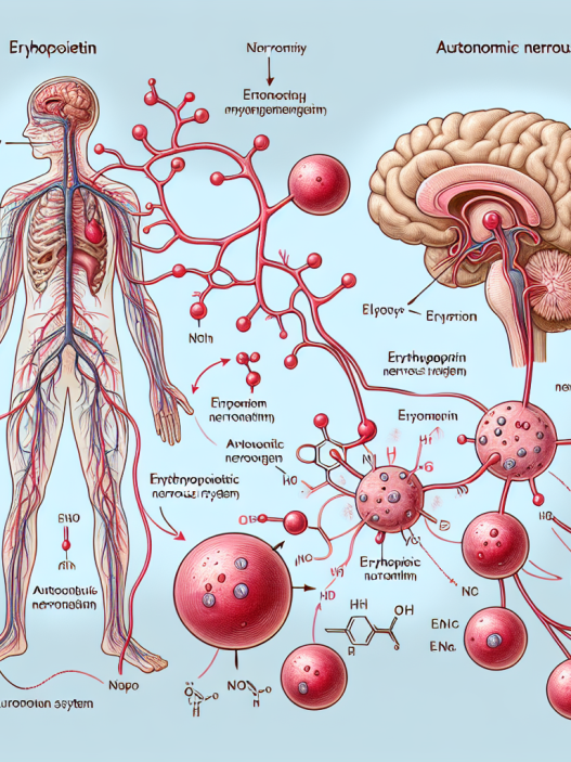 Cómo afecta Erythropoietin al sistema nervioso autónomo